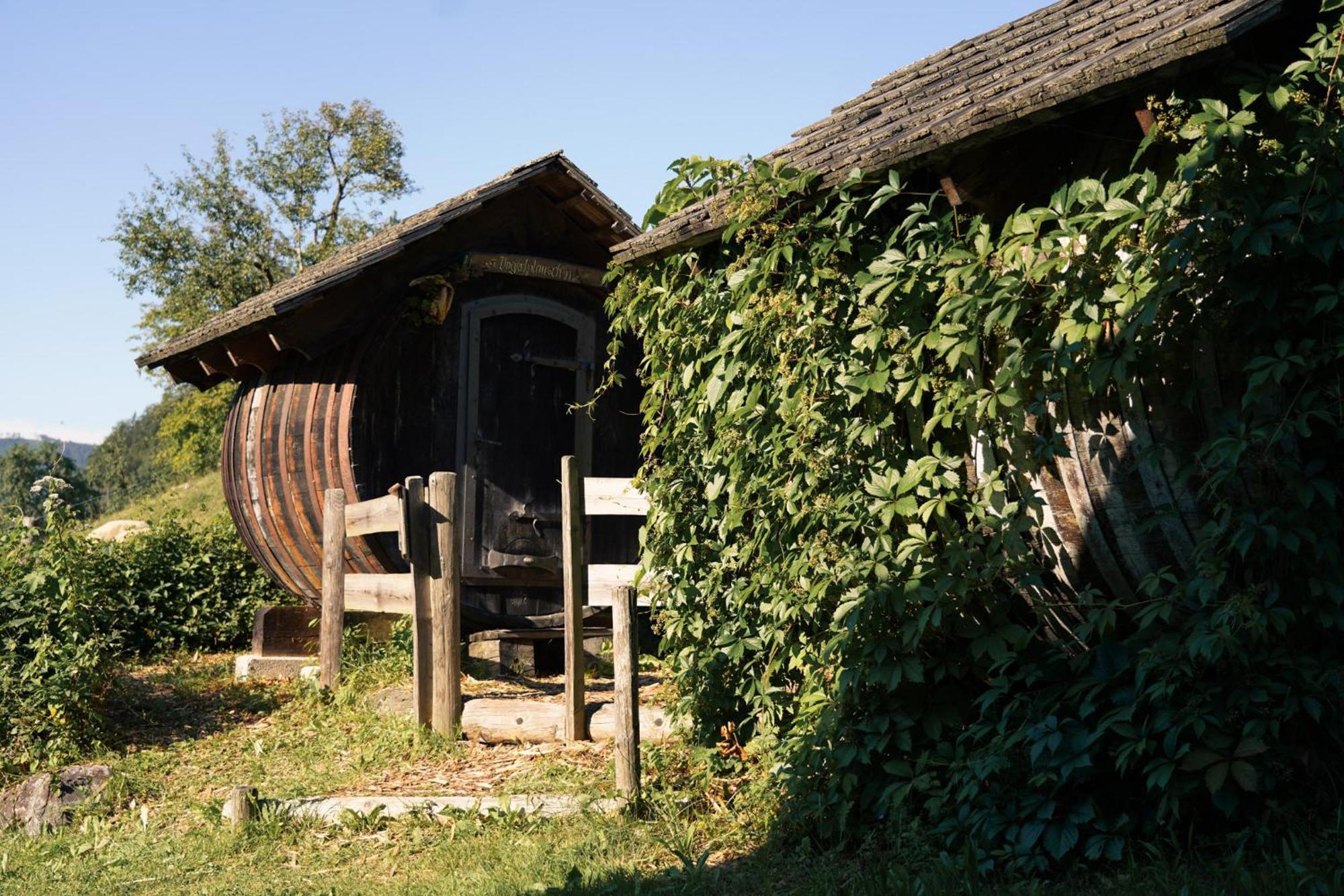 Singerskogel Guest House Spital Am Pyhrn Exterior photo