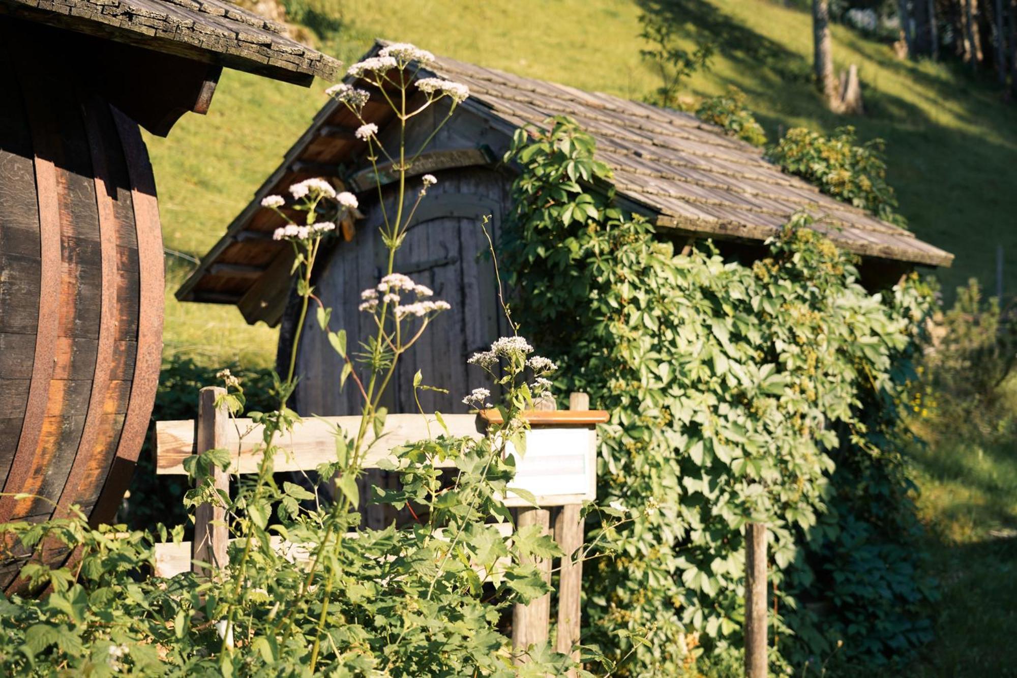 Singerskogel Guest House Spital Am Pyhrn Exterior photo